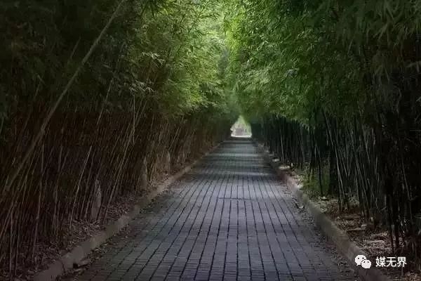 地铁广告营销创意,地铁广告宣传途径