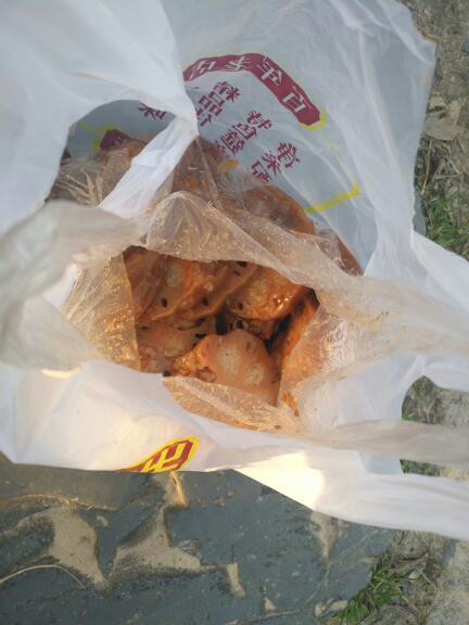 帮主去杭州,帮主离开的第一天