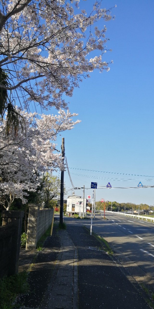 日企工作要求,日企工作有哪些收获