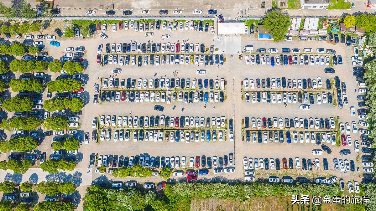 上海奉贤周末带娃好去处10岁左右,上海奉贤周末遛娃好去处推荐