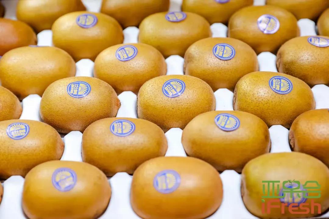 第14届亚洲if果蔬博览会,ifresh果蔬博览会