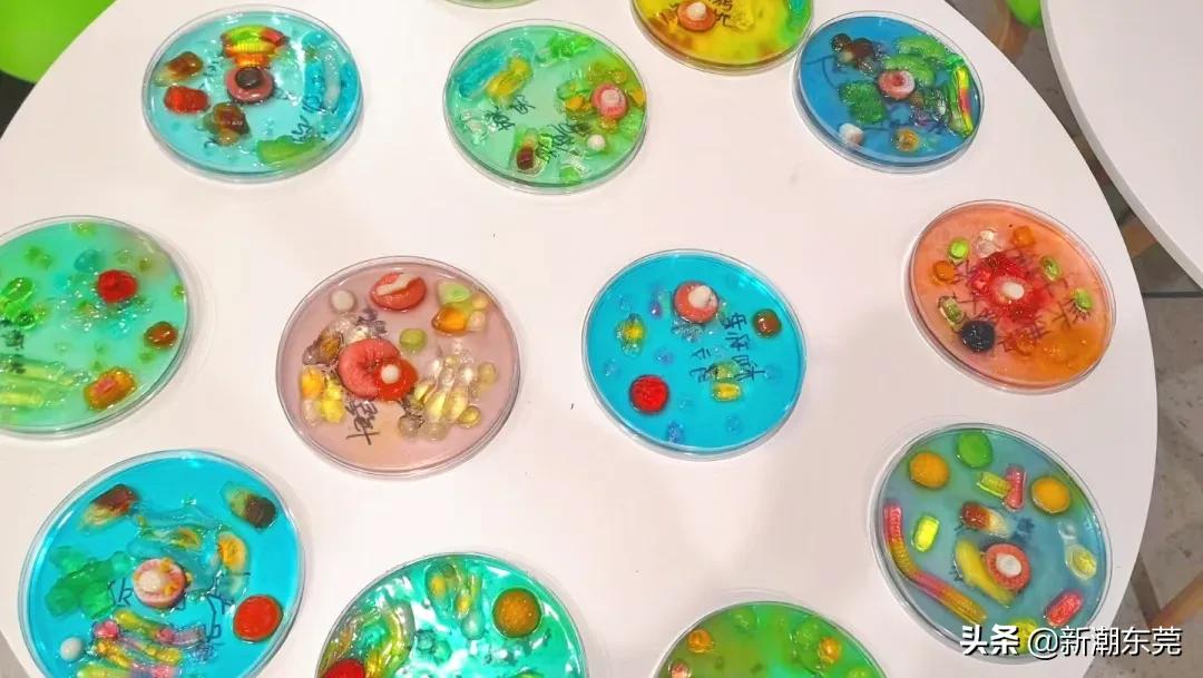 东莞外国语高中黑马,东莞黑马学校