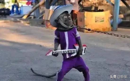 泰国坑中国游客,泰国坑中国游客后续