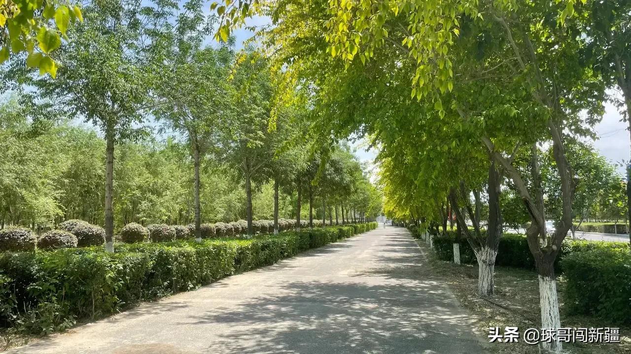 伊宁市有没有发展前景,伊宁市东城区的发展趋势