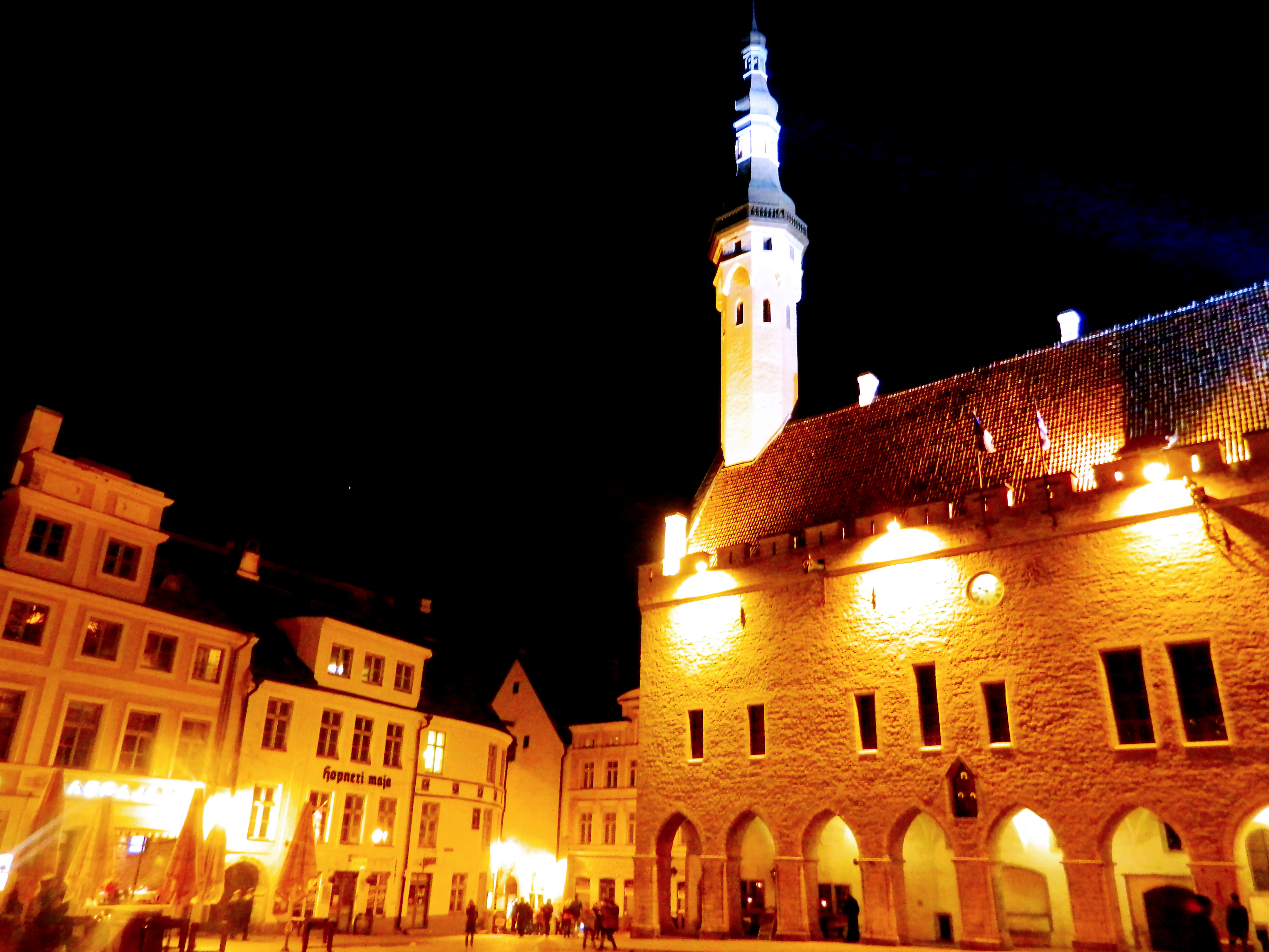 塔林里面有什么,塔林波罗的海舰队