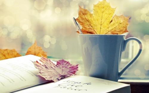 这三大星座心思细腻善于隐藏自己,12星座谁心思缜密