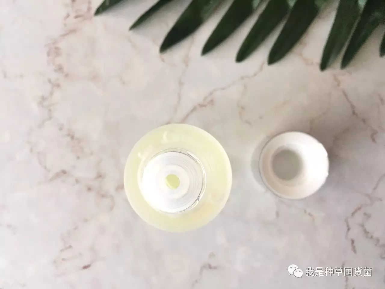 低价神仙水测评,神仙水哪款最值得购买