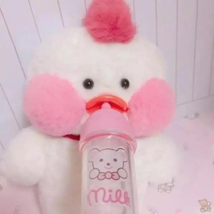 36张网红玻尿酸鸭头像图：遇见就好了，余生就算了