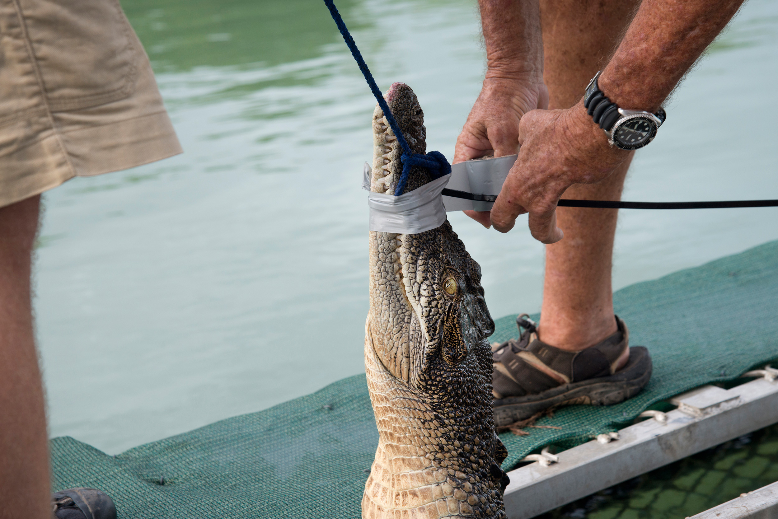 生产一个女包要多少钱,生产一个箱包的机器多少钱