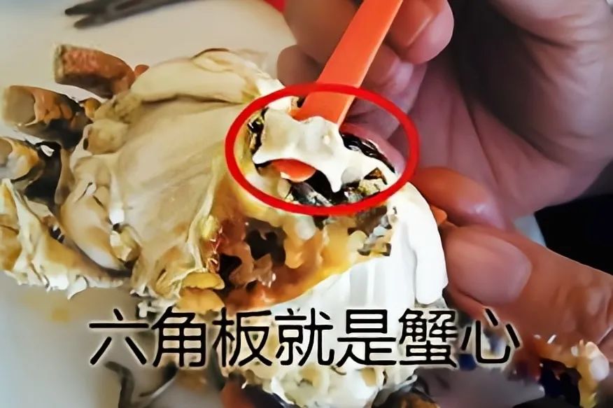 吃蟹时节到！螃蟹必须吃活的吗？吃蟹有哪些讲究？如何挑选好蟹？