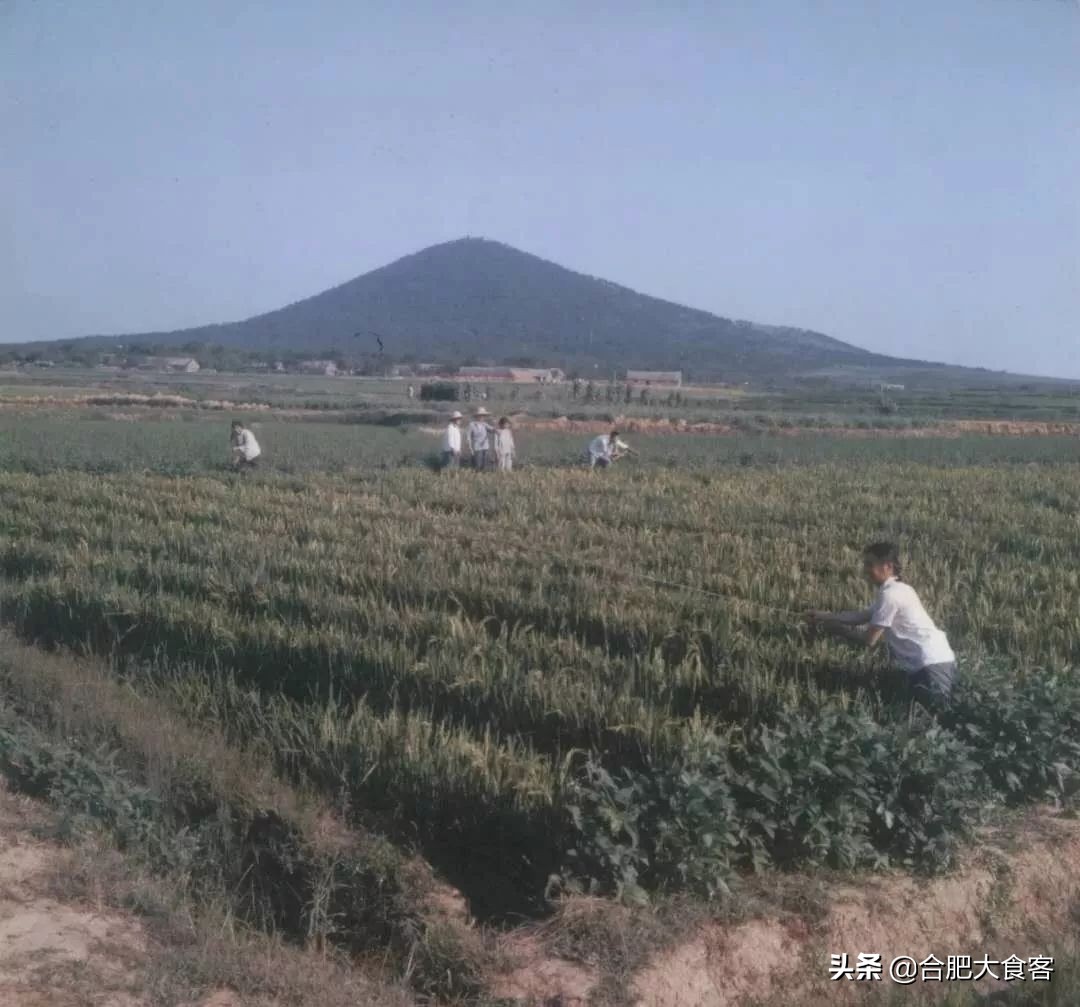 大蜀山爱情故事,大蜀山