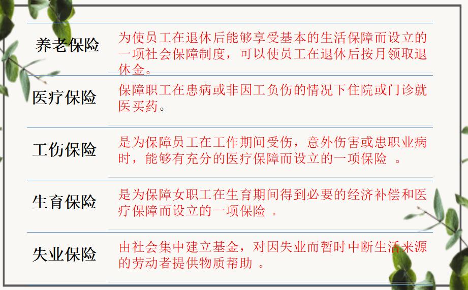 最新不计提社保会计处理,关于社保会计如何做账