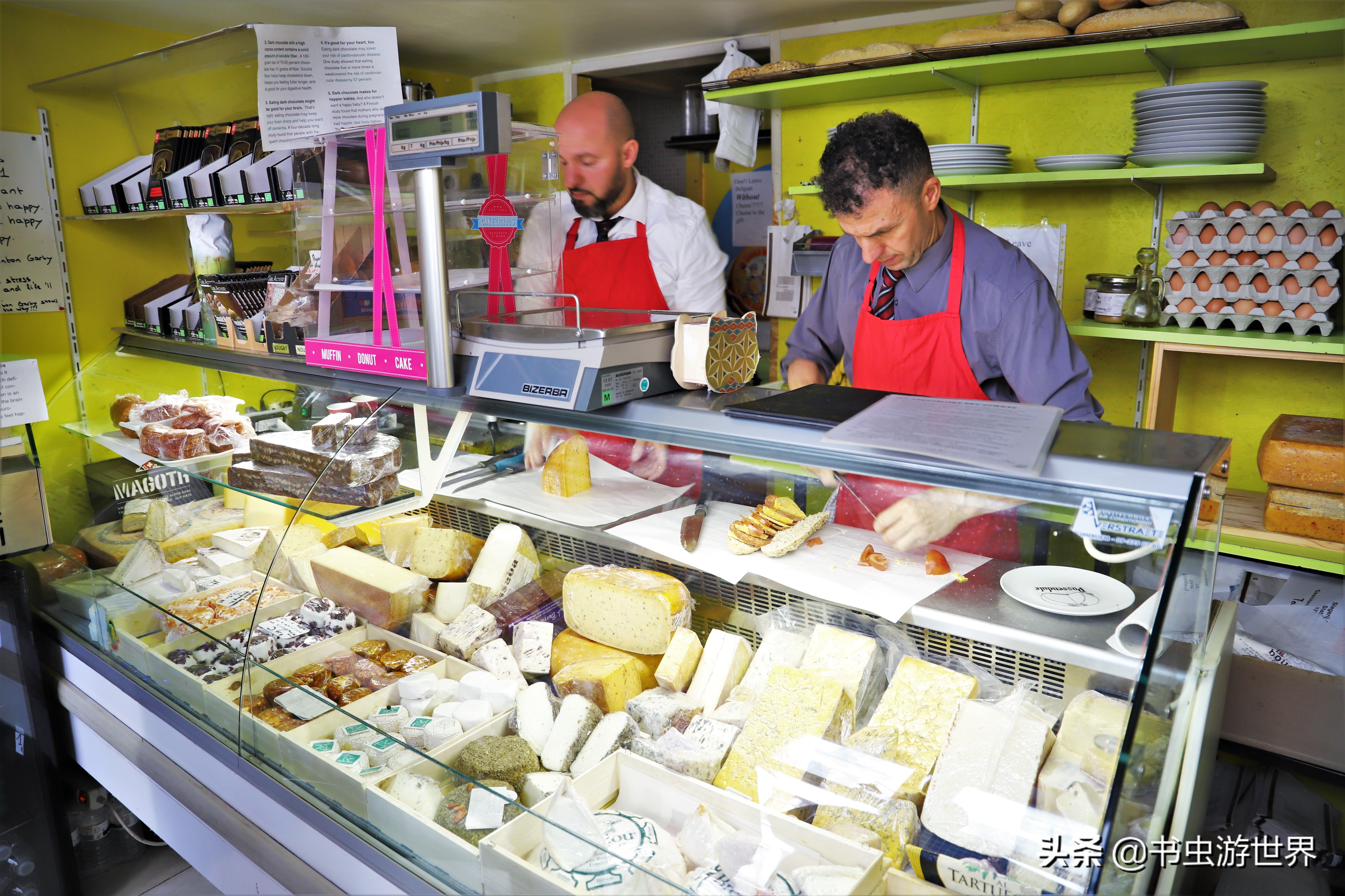 同样是布偶猫差别咋就这么大,布鲁和布鲁