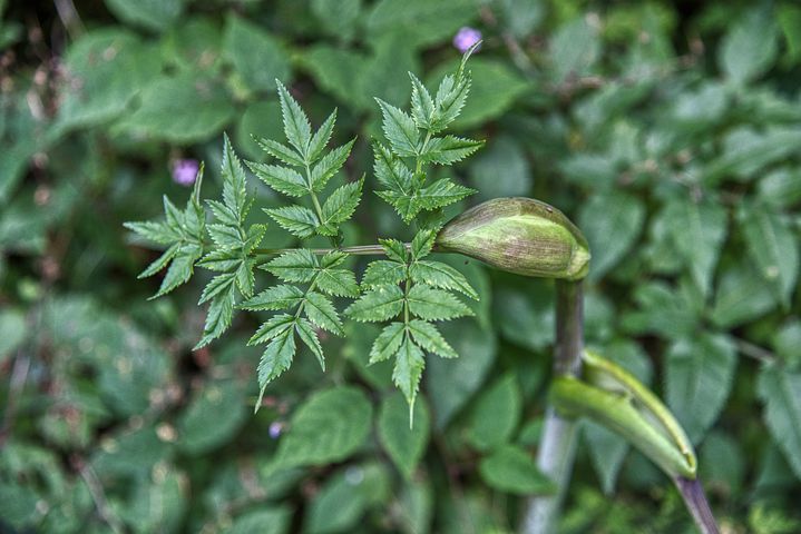 产后身痛就是肌肉纤维化吗,产后身痛中医该如何治疗