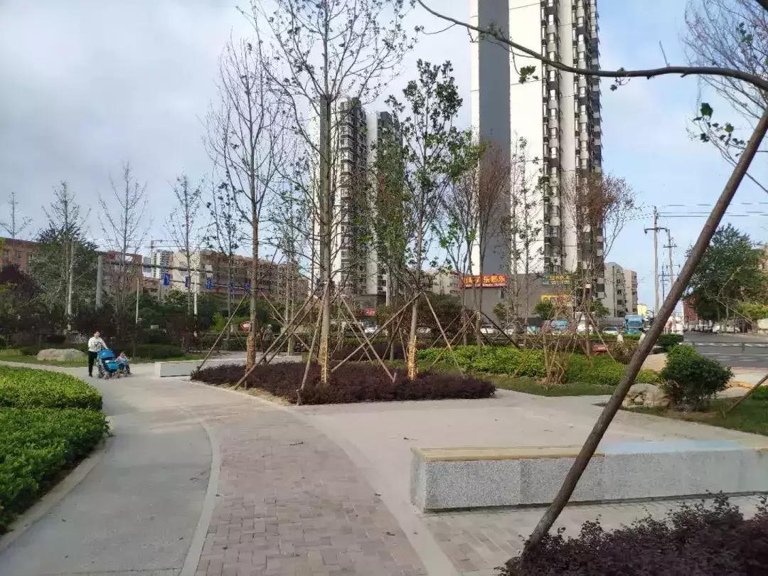 石臼中心公园杂技表演,日照市石臼附近的公园