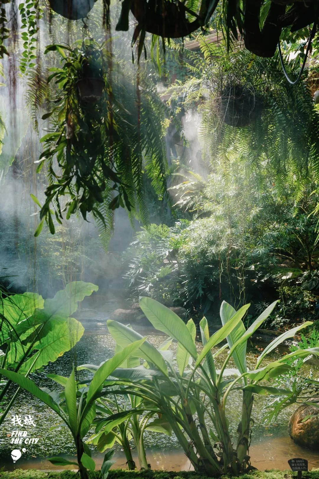 南宁人去隆安玩,南宁人去柳州玩