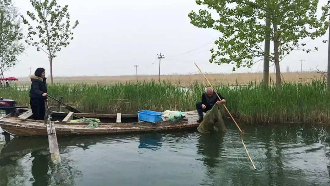 五一假期带着爸爸妈妈宝贝们钓虾,五一假期跟爸爸一起去田间劳动