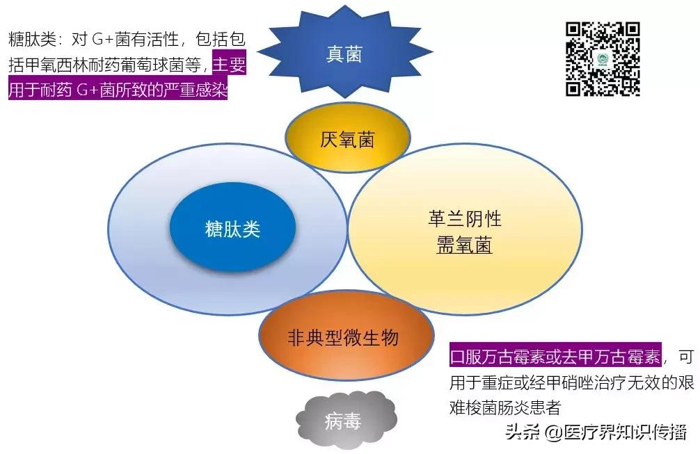 抗菌药谱大全及图片,抗菌谱图解大全