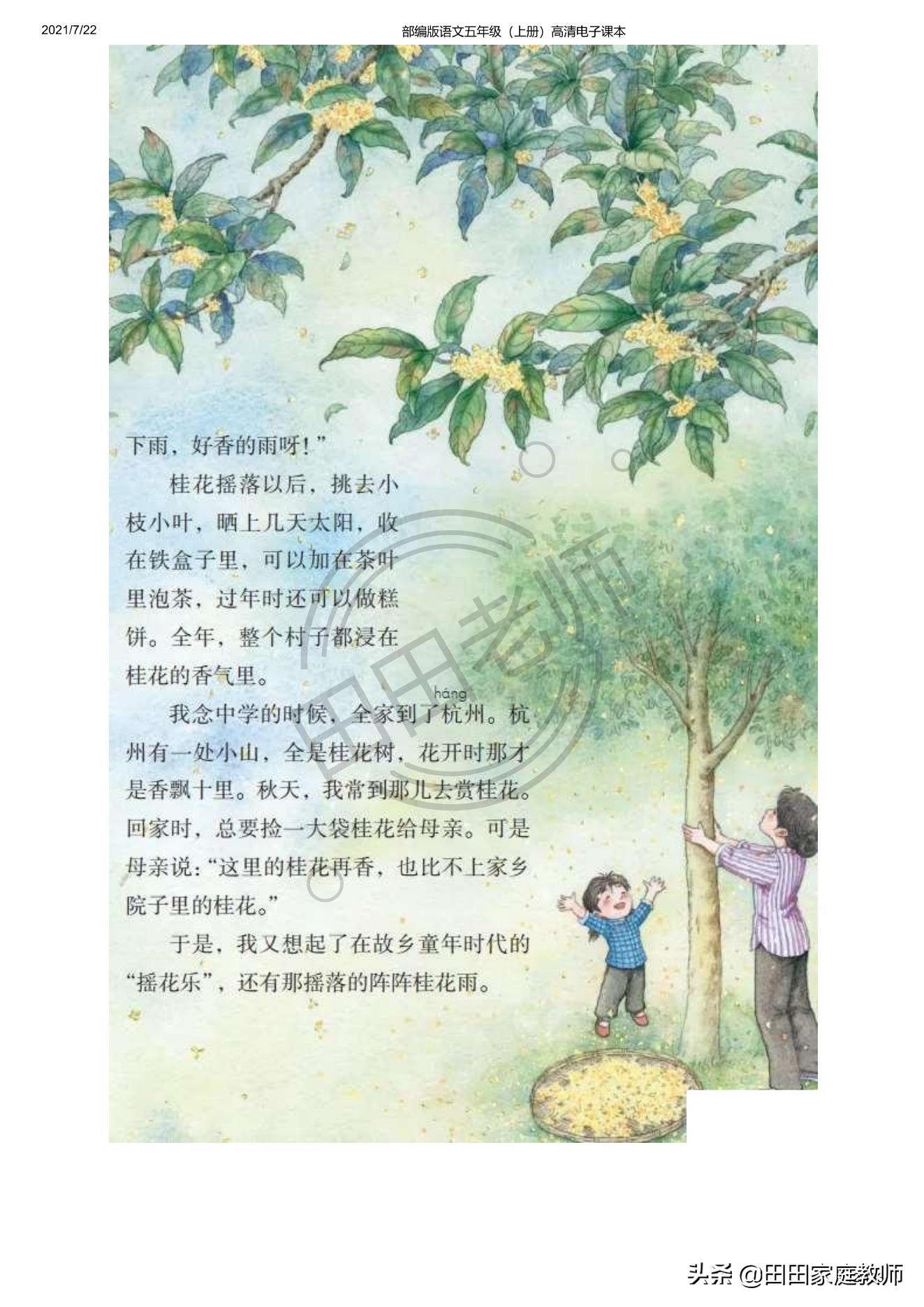 部编版语文五年级下册电子课本,部编五年级上册语文电子课本