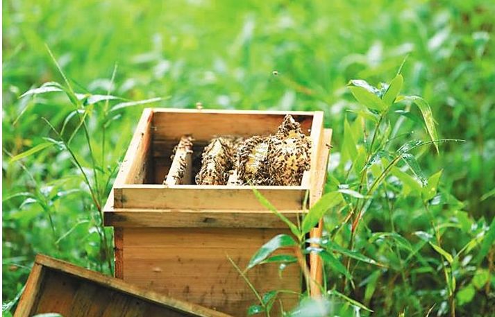 战疫助农滞销品突然销售火爆,战疫助农数据