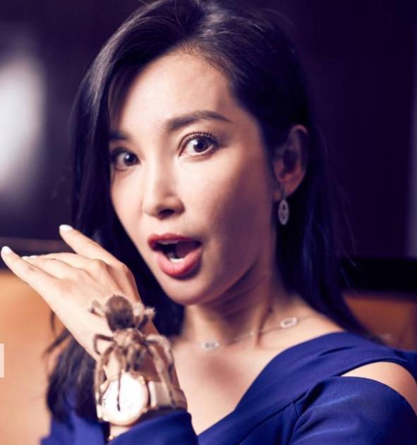 蜘蛛给人们的印象,蜘蛛印象出场