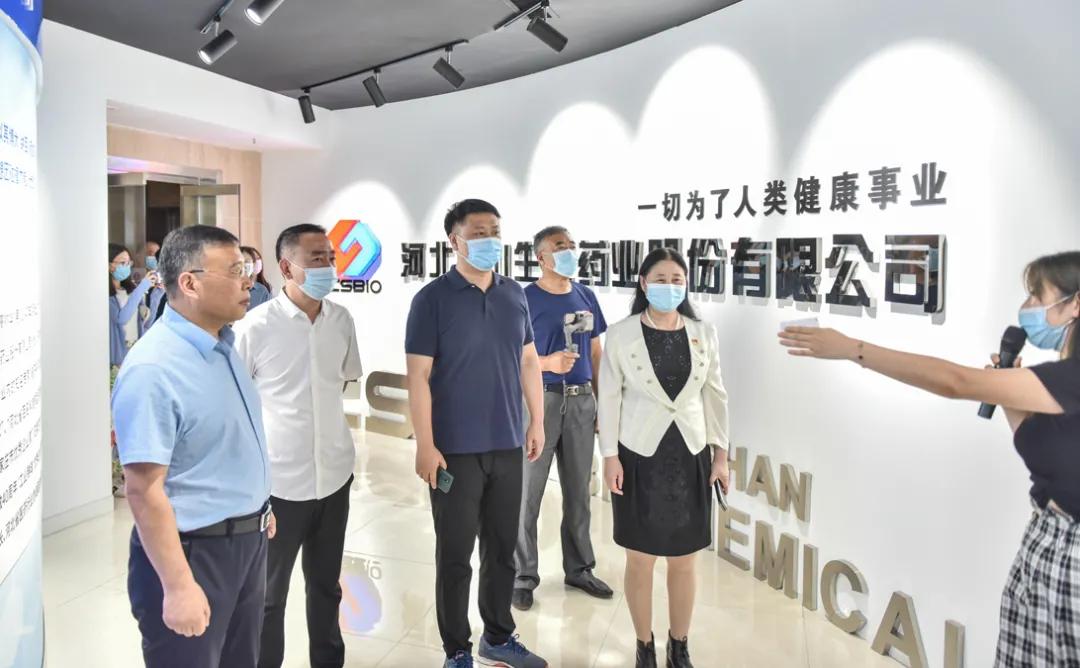 “V看石家庄·美丽省会行”网络主题宣传活动走进正定