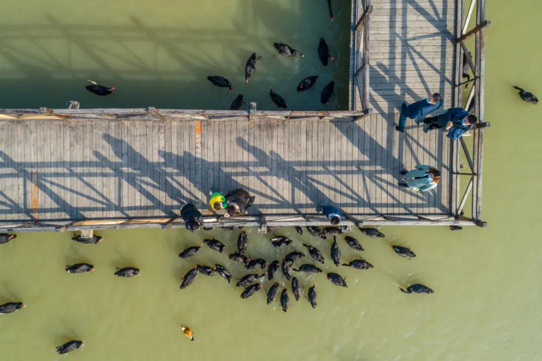 台儿庄一张票能玩几天,一张门票玩一整天