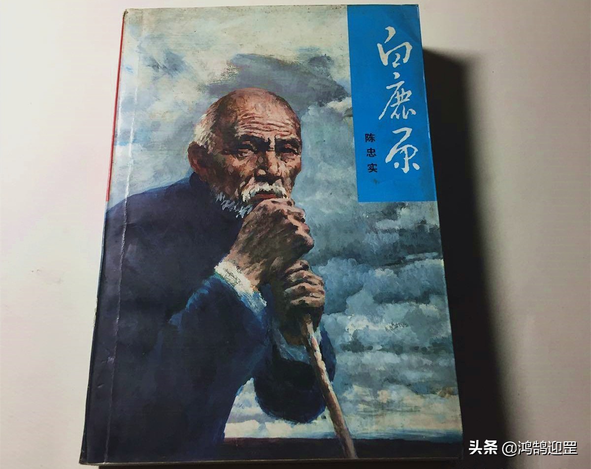 《白鹿原》里郭举人吃泡枣，《废都》庄之蝶吃泡梅李，写这些何用