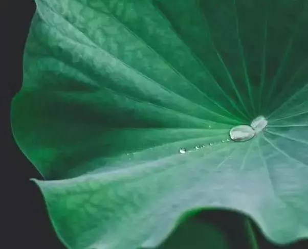 小楼周刊,2021小楼周刊