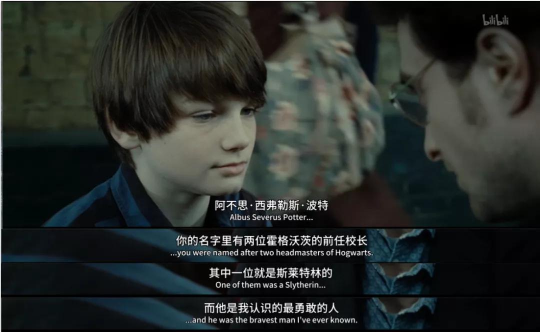 哈利波特的一生,哈利波特人物一生回忆录