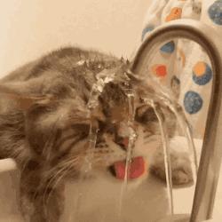 最好用的钛杯 (经济实惠的钛杯)