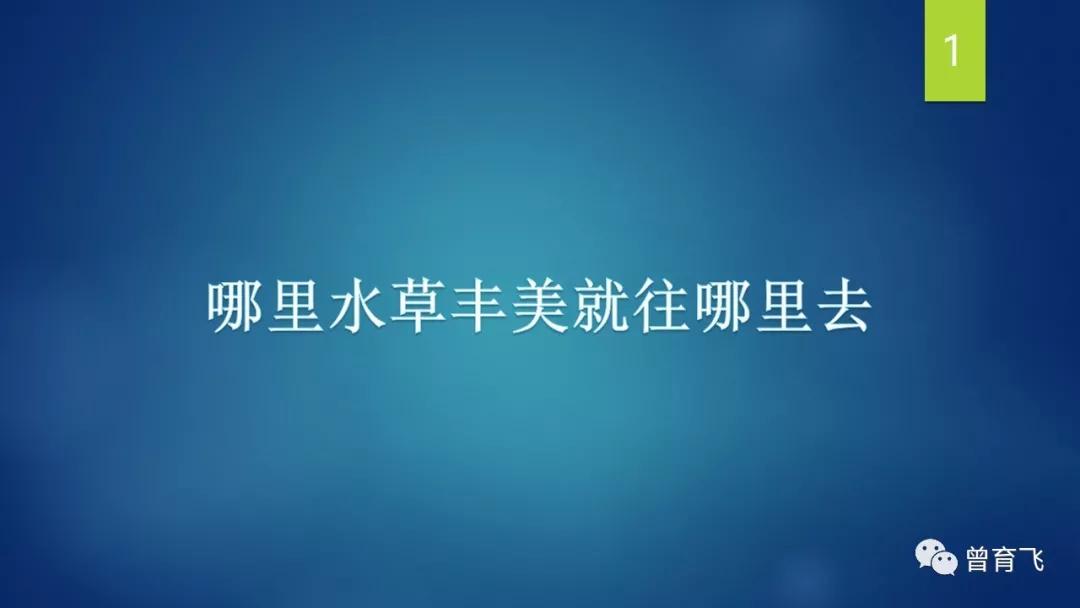 社群管理工具是干什么的,管理社群都有哪些工具