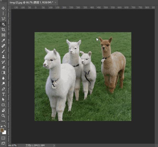 Adobe2018、19、20全套，2020版PS自动抠图哦~