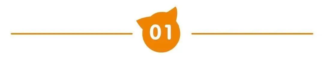 要是你给老鼠吃饼干全文多少字,要是你给老鼠吃饼干感悟50字