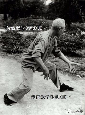 站桩时手可以上下活动吗,站桩时身体会随着呼吸上下起伏