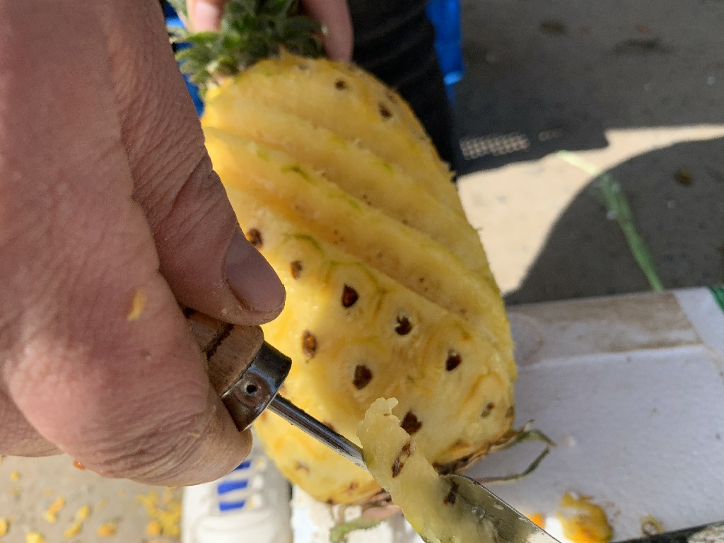 菠萝挑长的还是短的,菠萝挑选攻略大全