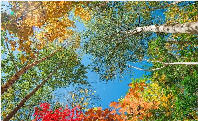 中国34个省区你了解多少,全方位了解中国