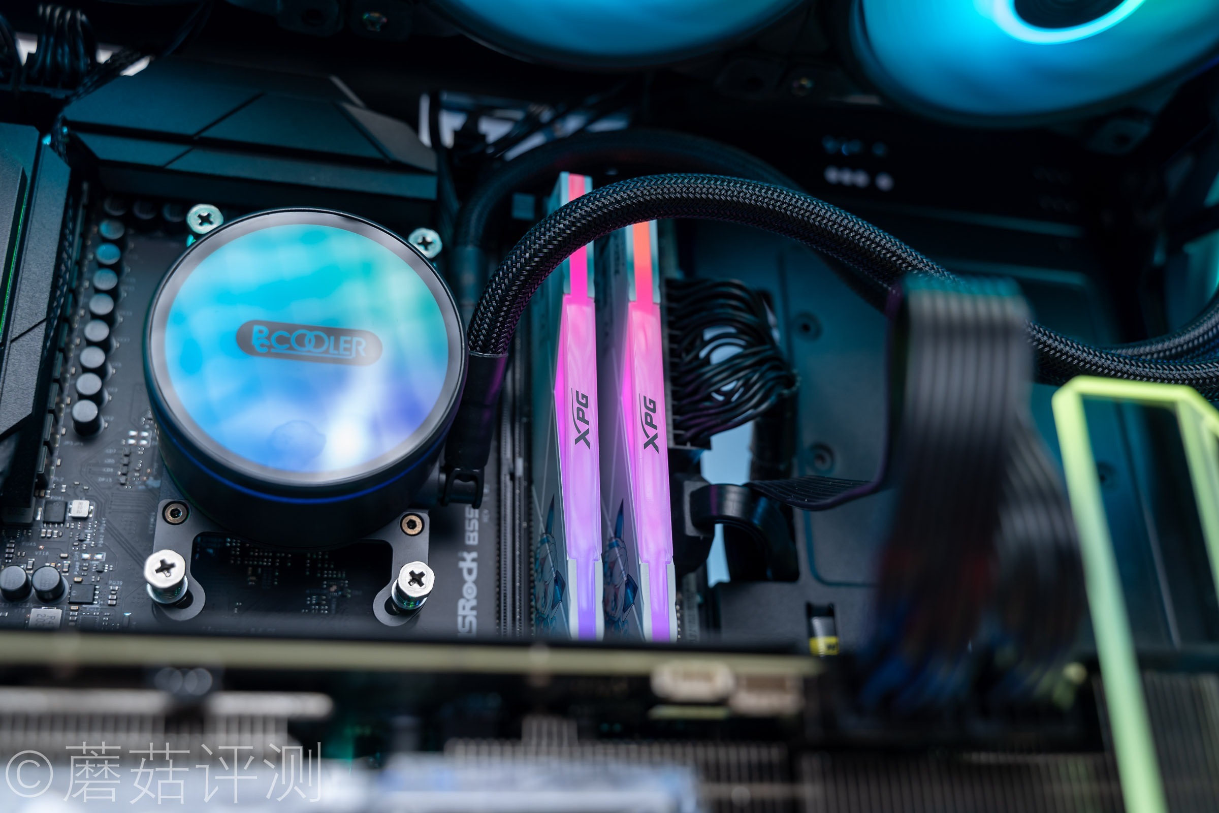 威刚龙耀d50吹雪联名用的什么颗粒,龙耀d50吹雪和普通版有什么区别