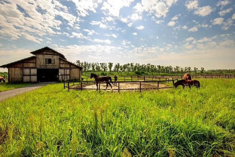 妗愪埂鍚堟偊姹熷崡骞哥鐢熸椿,妗愪埂鍚堟偊姹熷崡鏃呮父鏀荤暐