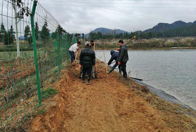 倒春寒螃蟹塘怎么办,低温寒潮鱼塘如何应对