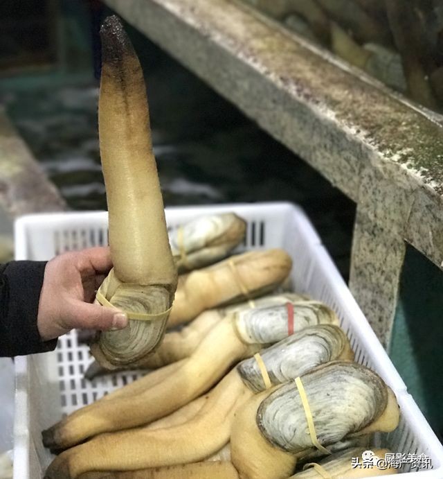 全世界顶级的4种海鲜,世界十大名贵海鲜