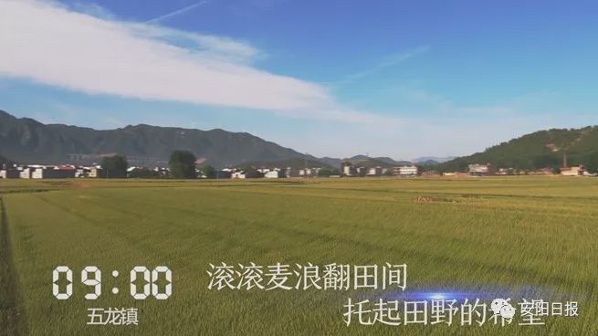 林州发生了什么事情,林州市今天晚上发生的事