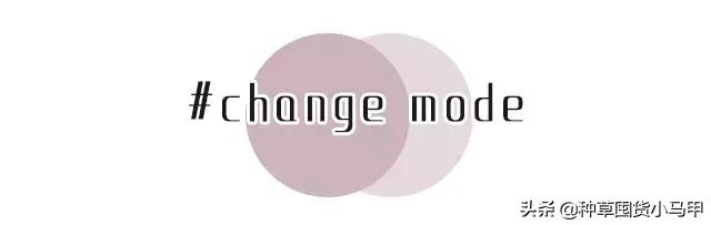 专柜出现假货新闻,专柜售假是真的吗