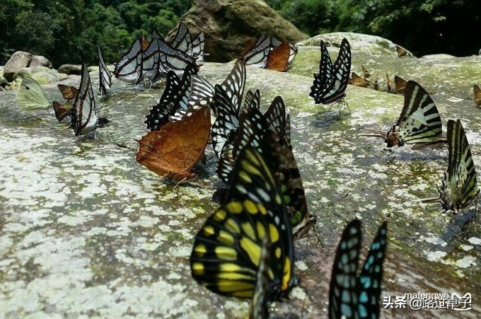 广东来桂林自驾游旅游攻略,广东自驾游桂林路线攻略图