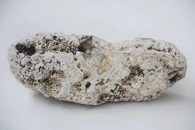 一块屎价值500万？？？