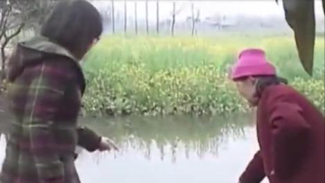 湖南文盲老太成神医了吗,湖南文盲老太被称华佗再世