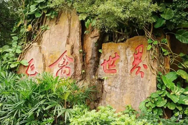 海南代表性动物,海南特有的珍稀动物