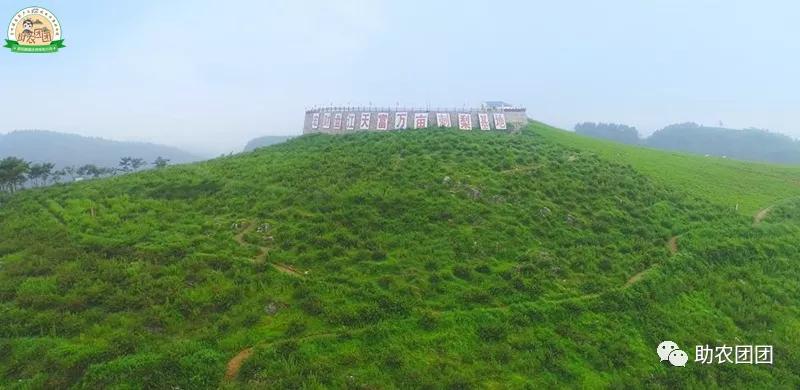 助农团团花溪直播,刺梨原汁精品