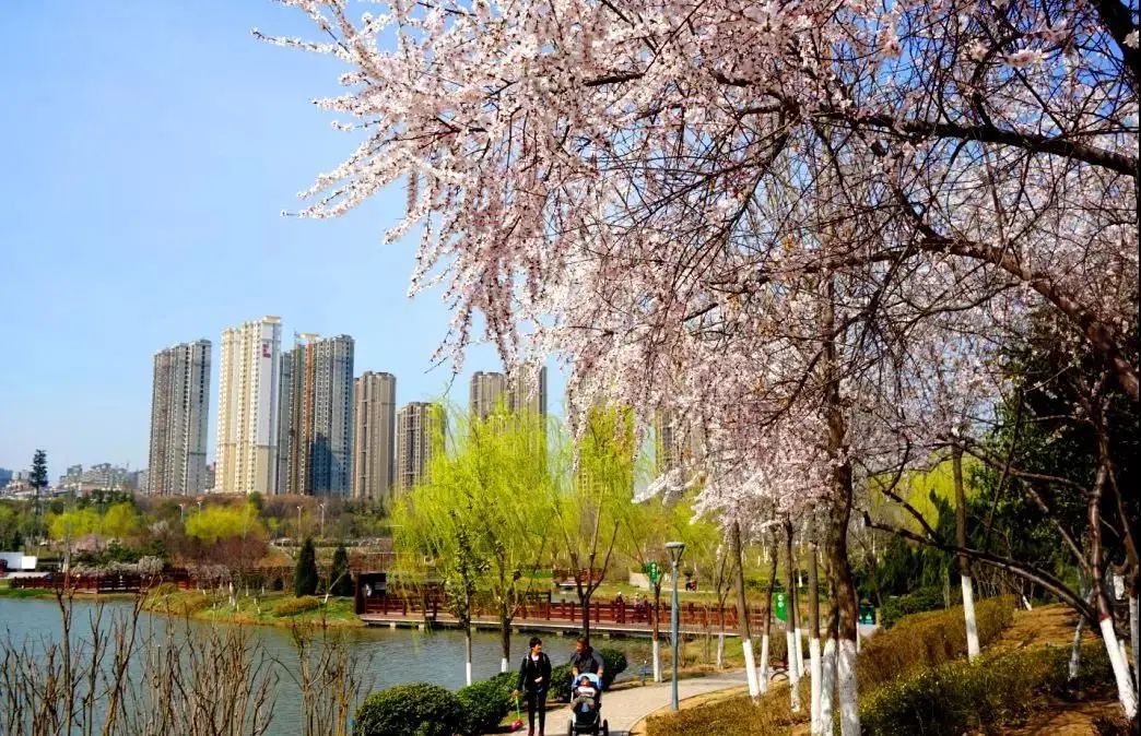 浐灞旅游一号线站点,家门口坐车去旅游真方便