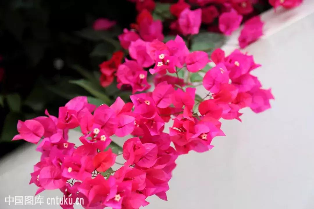 漳州和厦门全面对比,漳州和厦门经济比拼